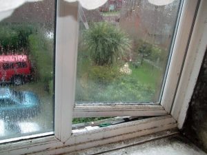 Tyne and Wear Damp Co   Services   condensation treatments