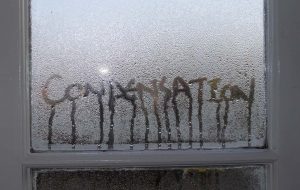 contact lake-district damp proofing for condensation problems