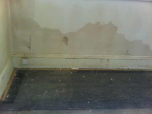 rising damp diagnosis at a property in lake-district